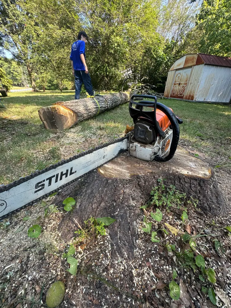 Hart Family Home Services - Arborist Chainsaw