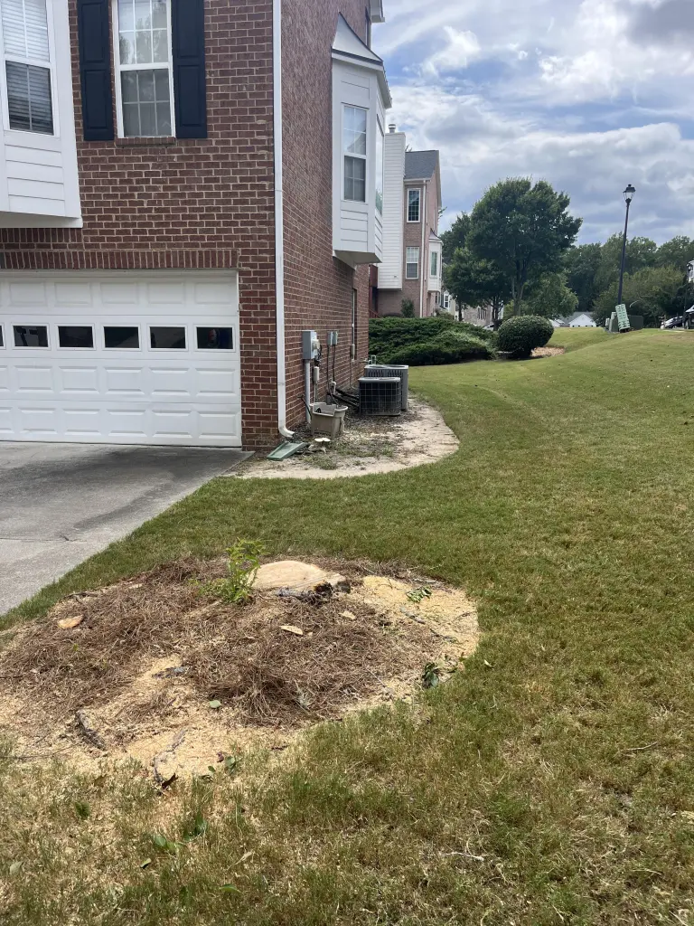 Hart Family Home Services - Finished Dead Tree Removal