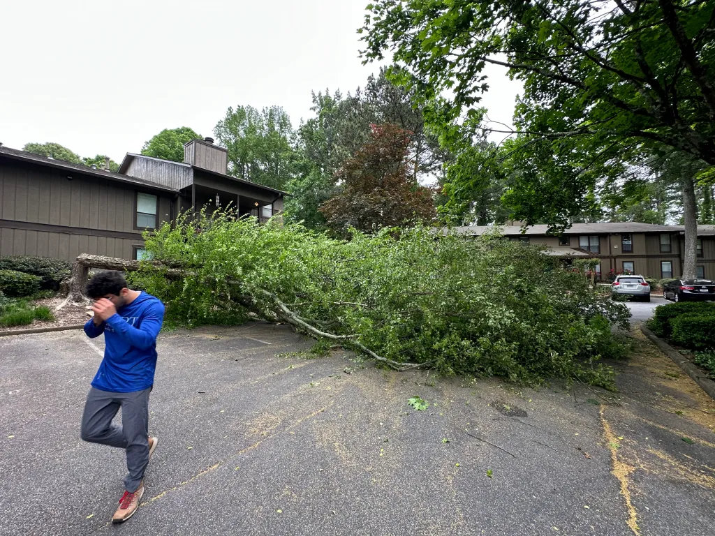 Hart Family Home Services - Tree Removal