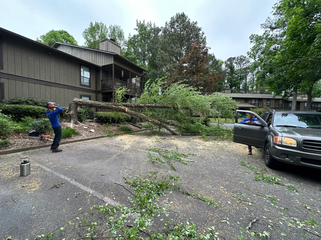 Hart Family Home Services - Tree Removal