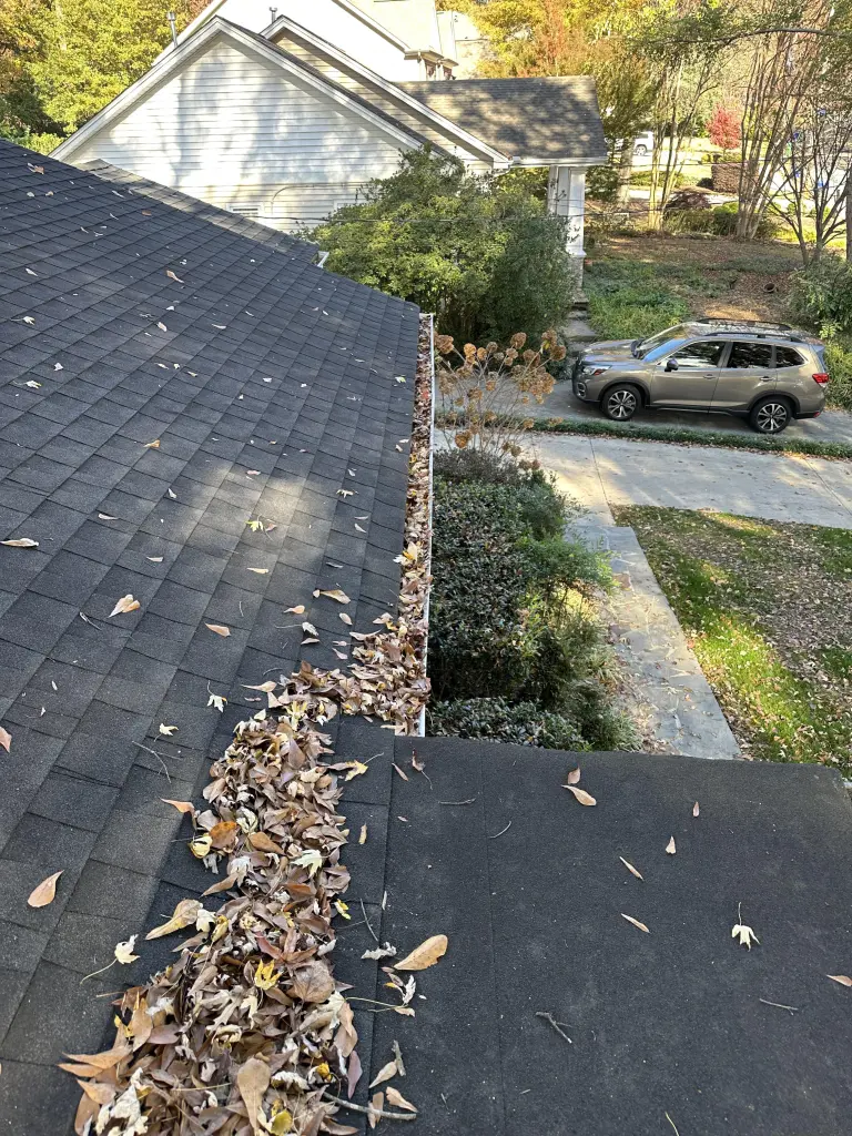 Hart Family Home Services - dirty roof and gutter