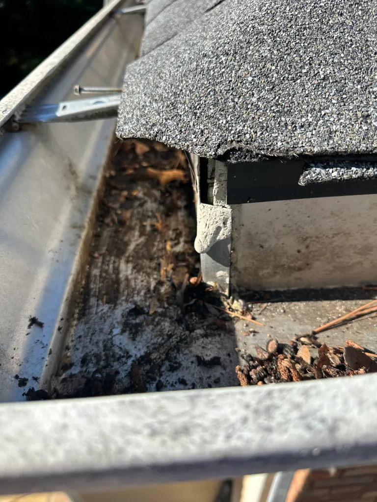 Hart Family Home Services - gutter mider to be resealed