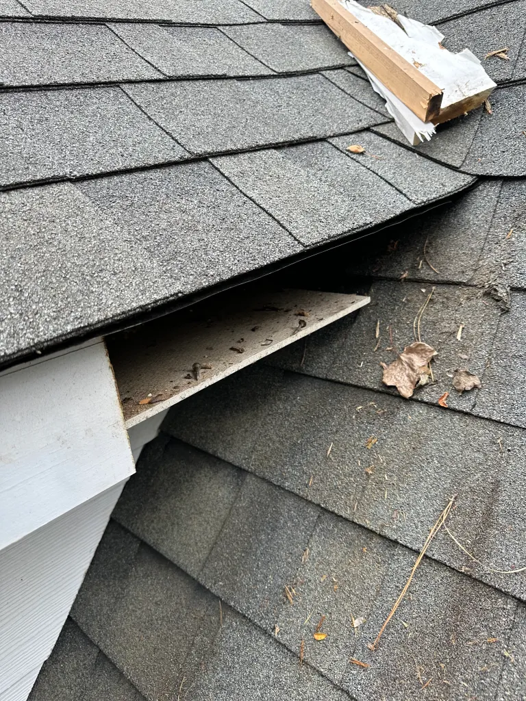 Hart Family Home Services - removing rotten wood on roof