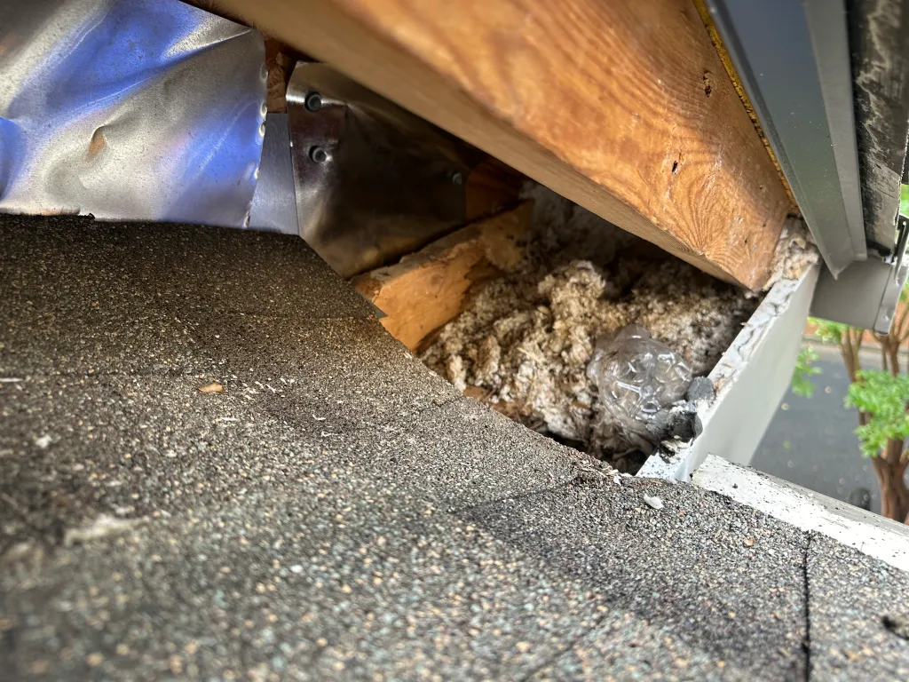 Hart Family Home Services - rodent damage and poor flashing